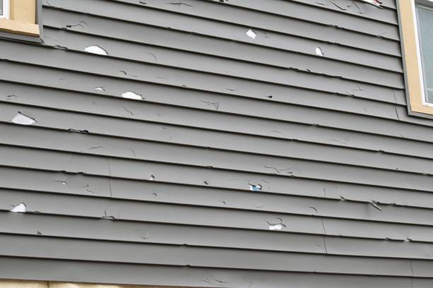 Trusted Greenwood, LA Siding Installation & Repair Experts